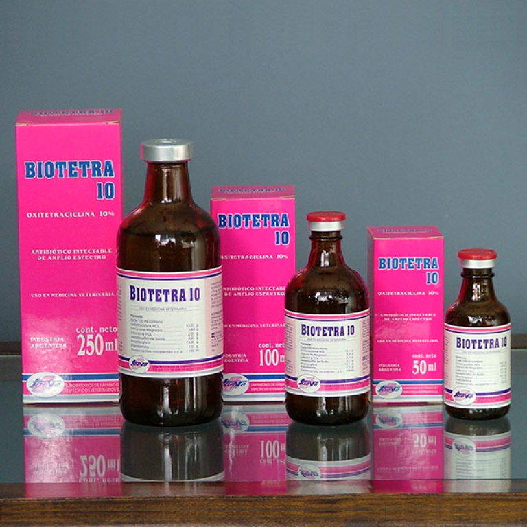bio tetra 10