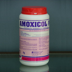 amoxicol