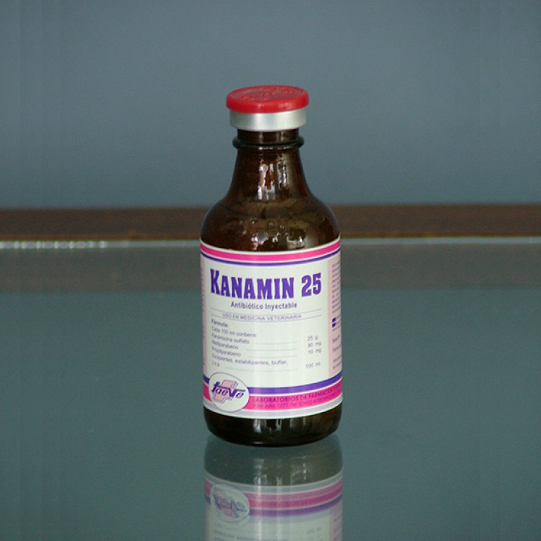 kanamin