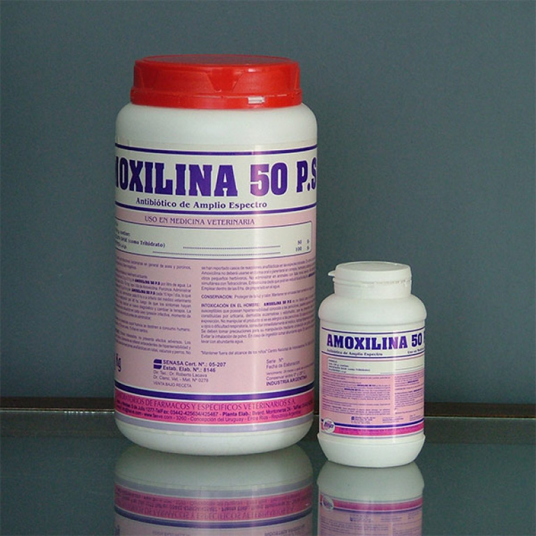 amoxilina 50